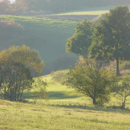Charming Holiday In Eifel With Garden