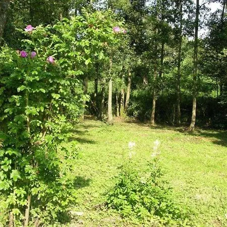 Charming Holiday In Eifel With Garden * Bodenbach